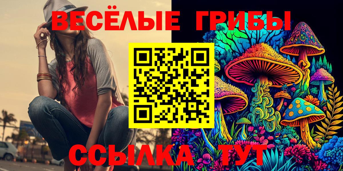 Псилоцибиновые грибы Psilocybine cubensis Киреевск