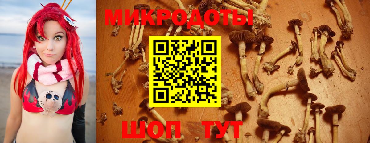 Галлюциногенные грибы мицелий  Вход с VPN  Киреевск  Псилоцибиновые грибы Psilocybine cubensis 
